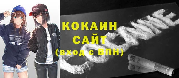прущая мука Арсеньев