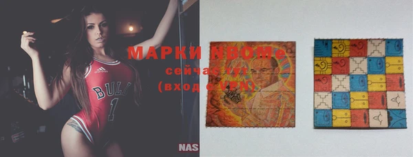 амф Алзамай