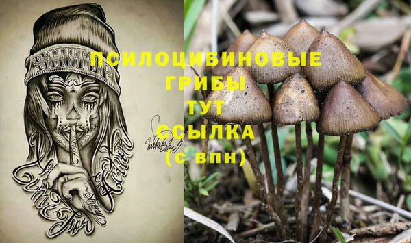a pvp Армянск